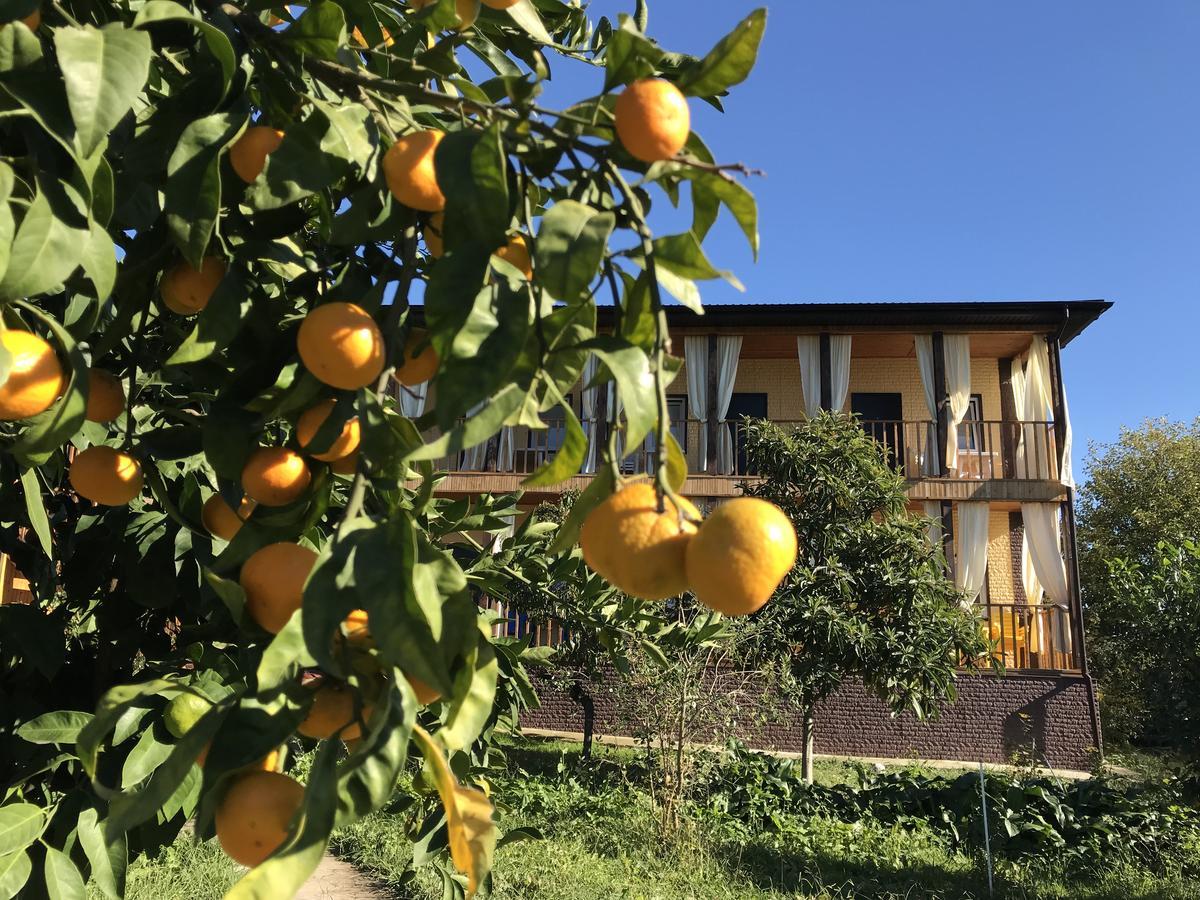 Gostievoi Dom Meri New Athos Exterior photo