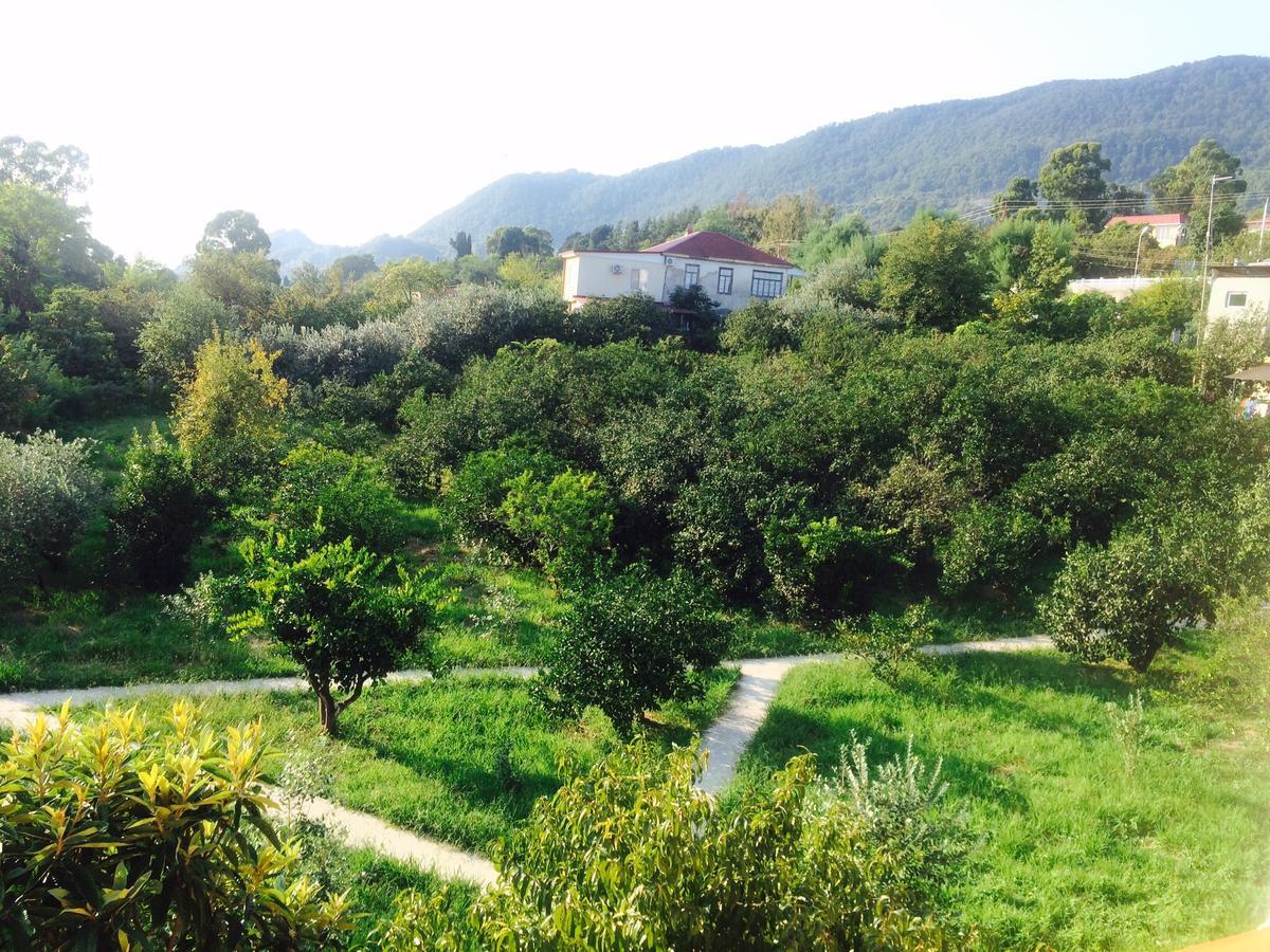 Gostievoi Dom Meri New Athos Exterior photo